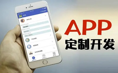 商城app开发，到底是该选择定制开发还是