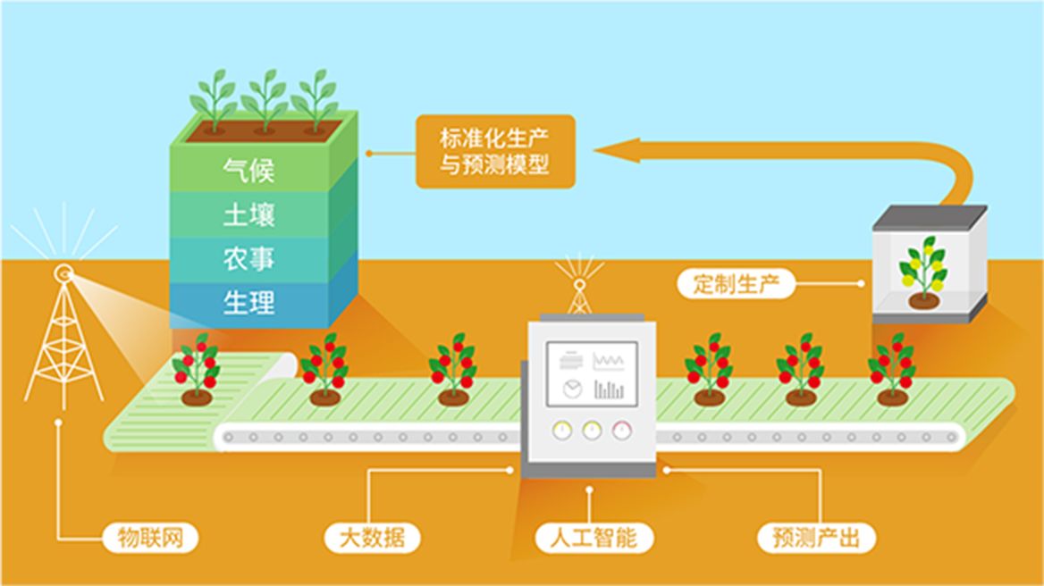 現(xiàn)代化農業(yè)平臺解決方案